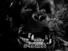 Gif animé King Kong film